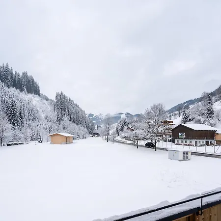 Luxury In Hinterglemm With Sauna 木屋 萨尔巴赫