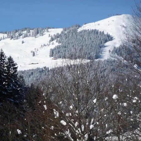 Luxury In Hinterglemm With Sauna * 萨尔巴赫