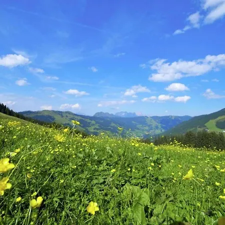 Luxury In Hinterglemm With Sauna 木屋