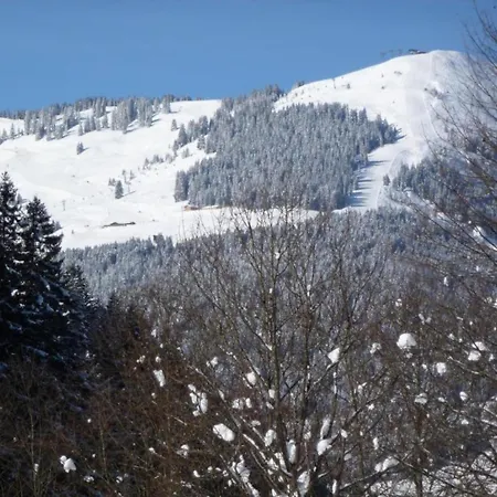 Luxury In With Sauna Saalbach-Hinterglemm