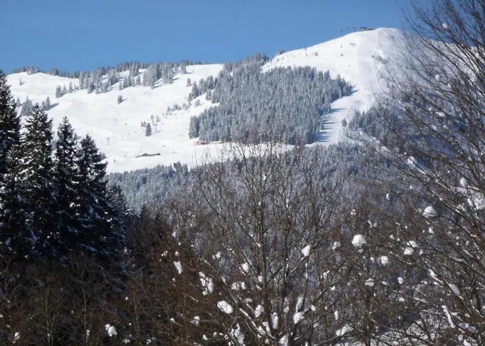 Luxury In With Sauna Saalbach-Hinterglemm