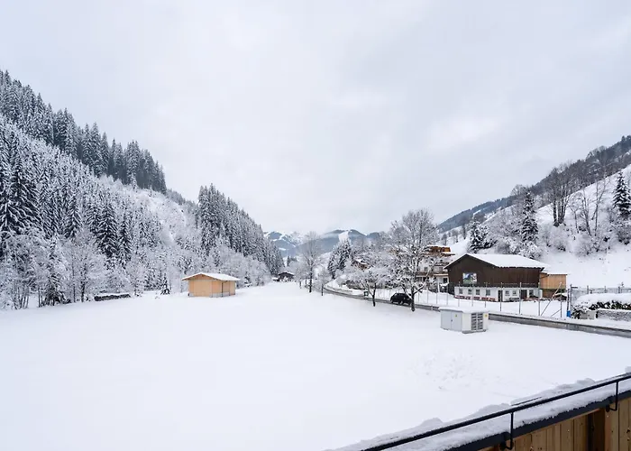 Luxury In With Sauna Alpehytte *
